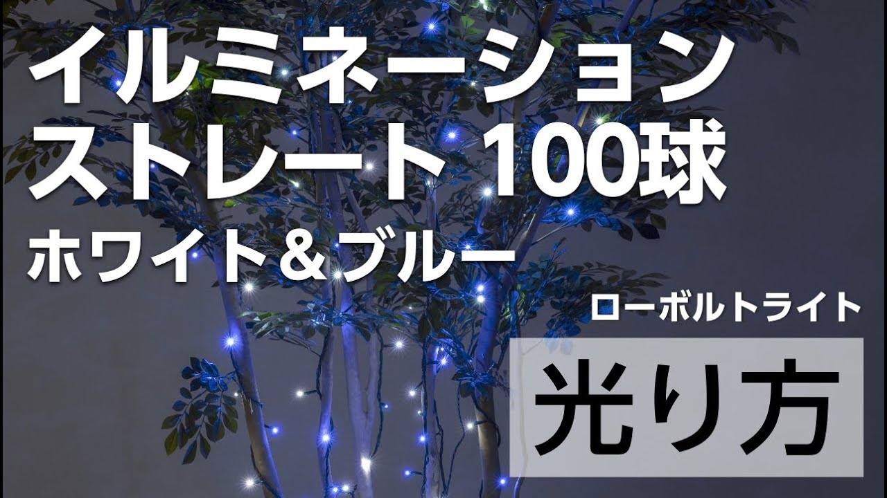 正規品質保証】 タカショー(Takasho) イルミネーション ロングカーテン 250球 シャンパンゴールド