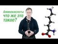 6. Аминокислоты - что же это такое?