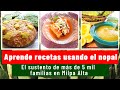 El NOPAL en RECETAS. PLATILLOS con NOPAL