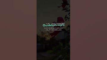 (سورة المسد) تَبَّتْ يَدَا أَبِي لَهَبٍ وَتَبَّ (1) مَا أَغْنَى عَنْهُ مَالُهُ وَمَا كَسَبَ (2)