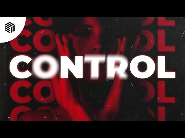 Engstrom, Westerlund & DKSH - Control
