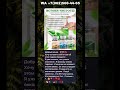 #детокс #очищениеорганизма #чисткаорганизма #какпохудеть #какочиститьорганизм #детоксикация