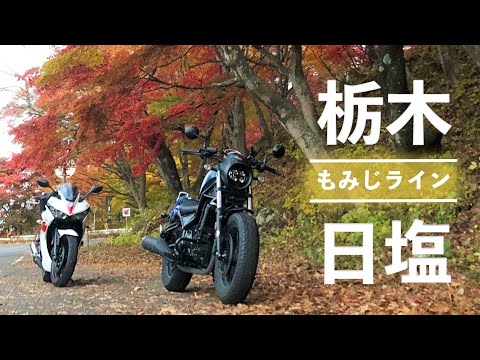 【同僚シリーズ】#98 納車から3ヶ月。同僚ダリアンを連れて宇都宮餃子＆紅葉狩りツーリング【栃木県】