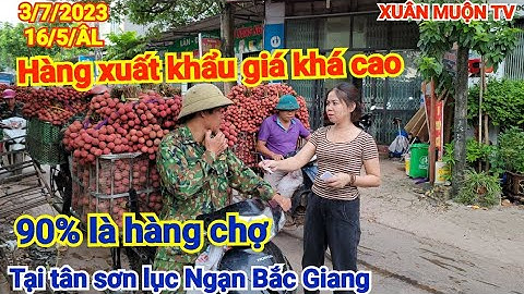 giá vải hôm nay 3/7/2023 tại tân sơn lục Ngạn bg dao động từ 9k đến 22k /1kg