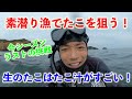【生のたこでたこ焼き】シーズンラスト!たこを獲りに素潜り漁に!しかし結果は、、、【たこ汁じゅわ!!】
