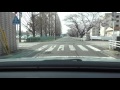 桜並木 (愛知・岡崎) 2016  2倍速