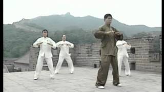 Qigong DA WU (The great dance of qigong)