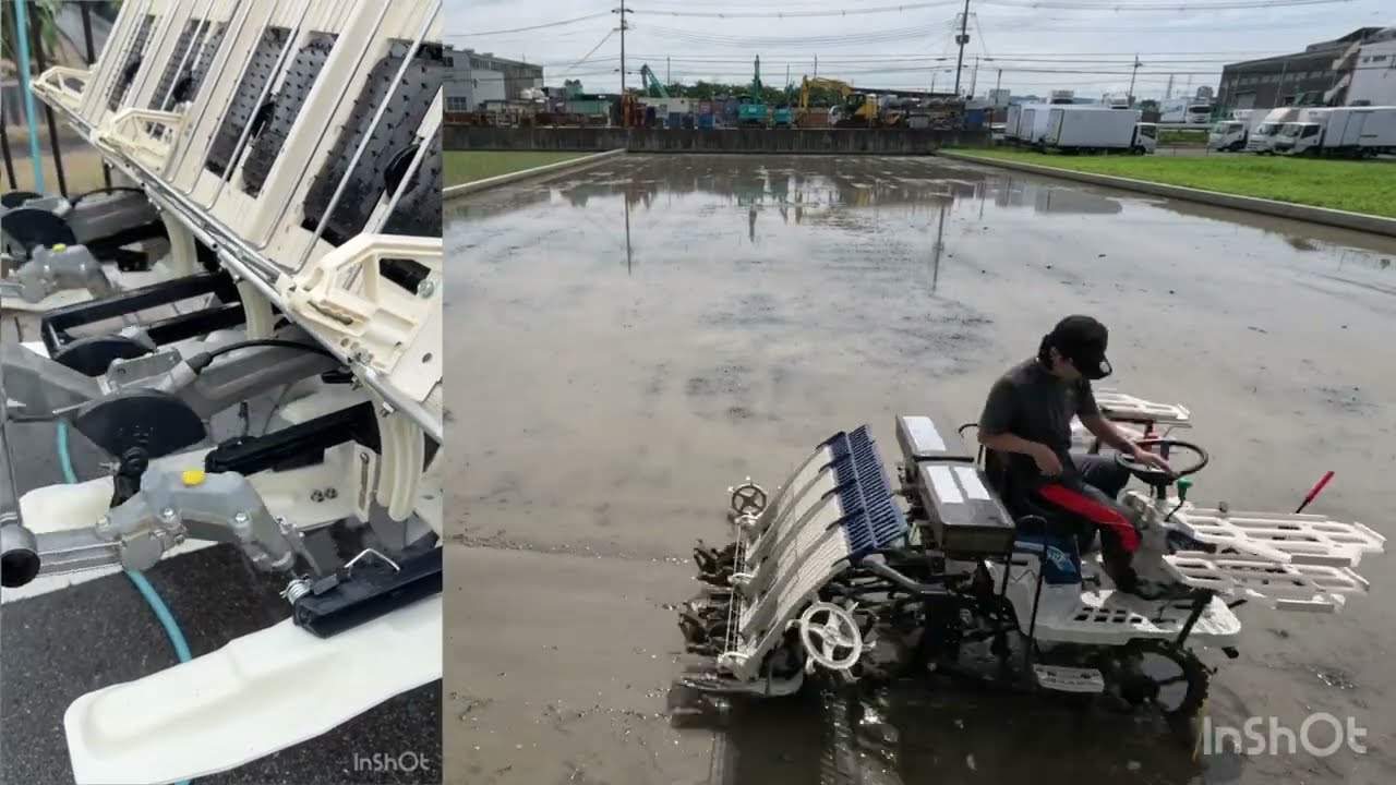 2026年米作り作業【田植え】　#田植え　#井関　#さなえ