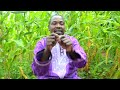 Rasta Barka DaSallah 2018 Rasta Barka DaSallah 2018