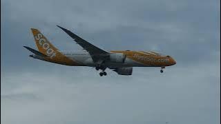 Scoot | Boeing 787-8 Dreamliner | 9V-OFH approaching WSSS via runway 20R