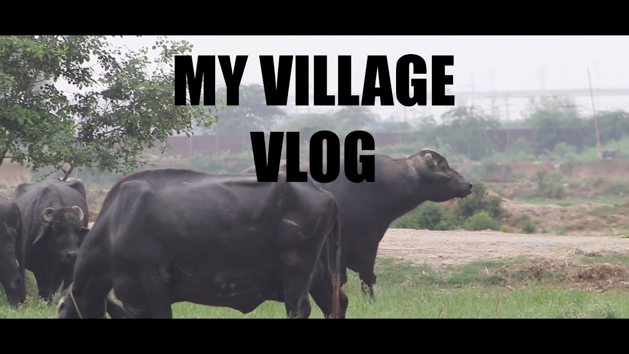 My Village Cinematic Vlogs 2021