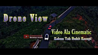 Drone View || Kebun Teh Bukit Kecapi #Tasikmalaya || Video Ala Cinematic