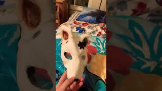 May Or May Not Have Accidentally Sat On My Mask