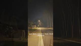 Denmark Is Turning Streetlights Red to Save Bats at Night and Reduce Light Pollution#denmark#bats