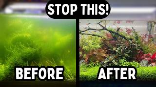 How to Get Rid of Green Water FAST! (Top 4 Tips)