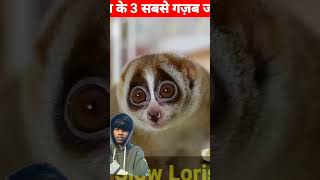 teen sabse Khatarnak janwar #spiderman #comedy