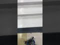 ミニ四駆　アバンテ　スピンコブラ