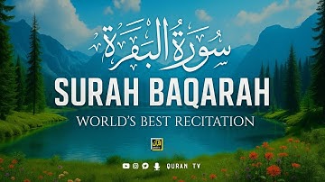 Surah Baqarah Full سورة البقره | Ultimate Relaxing Most Beautiful Heart Calming Quran | QURAN TV