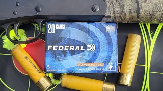 Federal Power-Shok 20ga 2-3/4" 3/4oz Slug Accuracy Test W/ Stevens 301 &amp; Improved Cylinder Choke