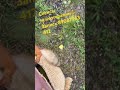 🍀Психолог/сеансы психотерапии 🔱