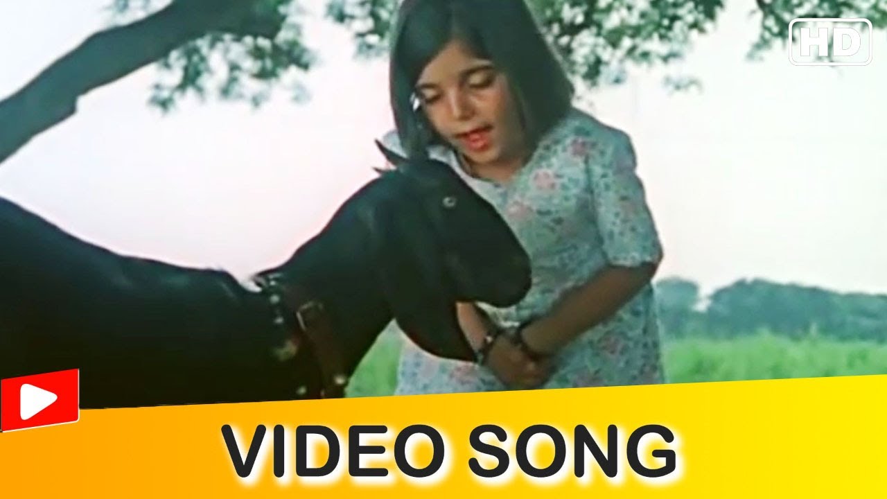 Kaali Tu Janti Hai Video Song  Superhit Children Hindi Song  Minoo 1977  Hindi Gaane