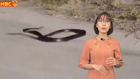 🔥Hãy coi chừng nếu THẤY CON RẮN 🐍đang làm ĐIỀU KỲ LẠ này