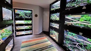 Celebrity Updated tour of all our snake enclosures! Profile