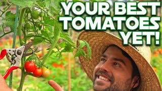5 Tomato Tips for Early Season Success!