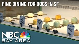 Fine Dining for Dogs? You Can Now Find That in San Francisco