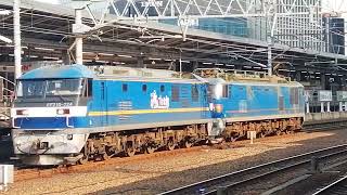 EF210 324+EF510 503号機稲沢発名古屋タ行単570レ名古屋通過