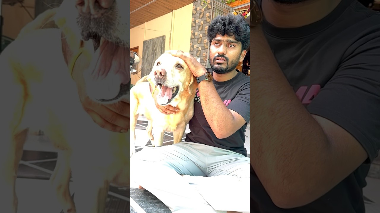 Wait For Twist..😭🙏 #shorts #motivation #trending #viralvideo #shortvideo #emotional