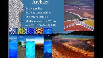 Chapter 27 Part 3.mov