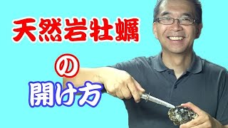 天然岩牡蠣の開け方 Youtube