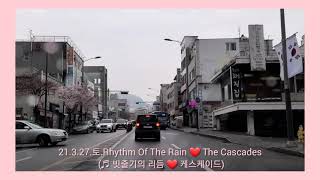 Video thumbnail of "☔⛈Rhythm Of The Rain ❤ The Cascades (♬ 빗줄기의 리듬❤ 케스케이드)"