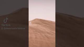 Shifting Sand Very Windy Day. Sand Storm Red Desert.