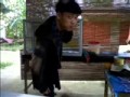 Gesta Musik LIVE Gedong Tataan Bersama 5 Dj
