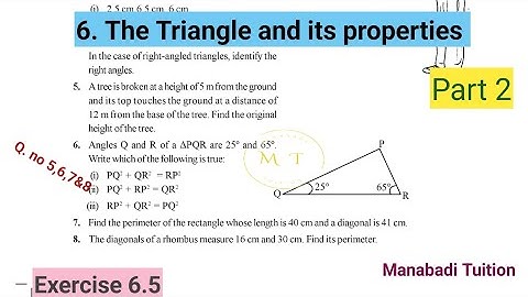 7th class maths|Chapter 6|🤷‍♀️The Triangles and Its Properties |Exercise 6.5 |Q no 5,6,7&8 |part 2|