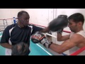 Undefeated muhammad waseem padwork w jeff mayweather