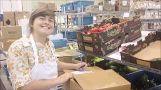 Good For Everyone - The Organic Box