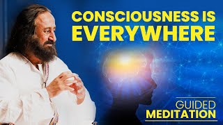 Consciousness Is Everywhere - Guided Meditation in English and Hindi by Gurudev screenshot 2