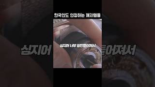 한국인도 인정하는 혜자템들