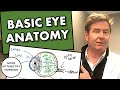BASIC PARTS OF THE EYE: 8 main parts of eyeball anatomy