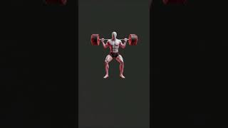 How to Fix skinny Legs
