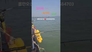 #도다리신세계낚시 #체험낚시 #목포도다리낚치 #선상낚시 #낚시배 #바다 낚시#생활낚시 #목포먹갈치