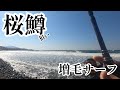 北海道 留萌増毛方面 ～2022年4月初旬 増毛ゴロタサーフでサクラマスやアメマスを狙ってみた (調査釣行）～ 【2022年 サクラマスへの長い道のり #１】