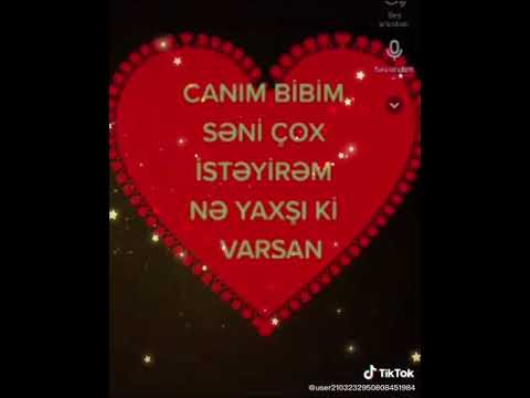 Canim bibim