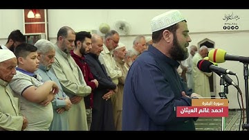 احمد غانم العيثان -لما تيسر من سورة البقرة