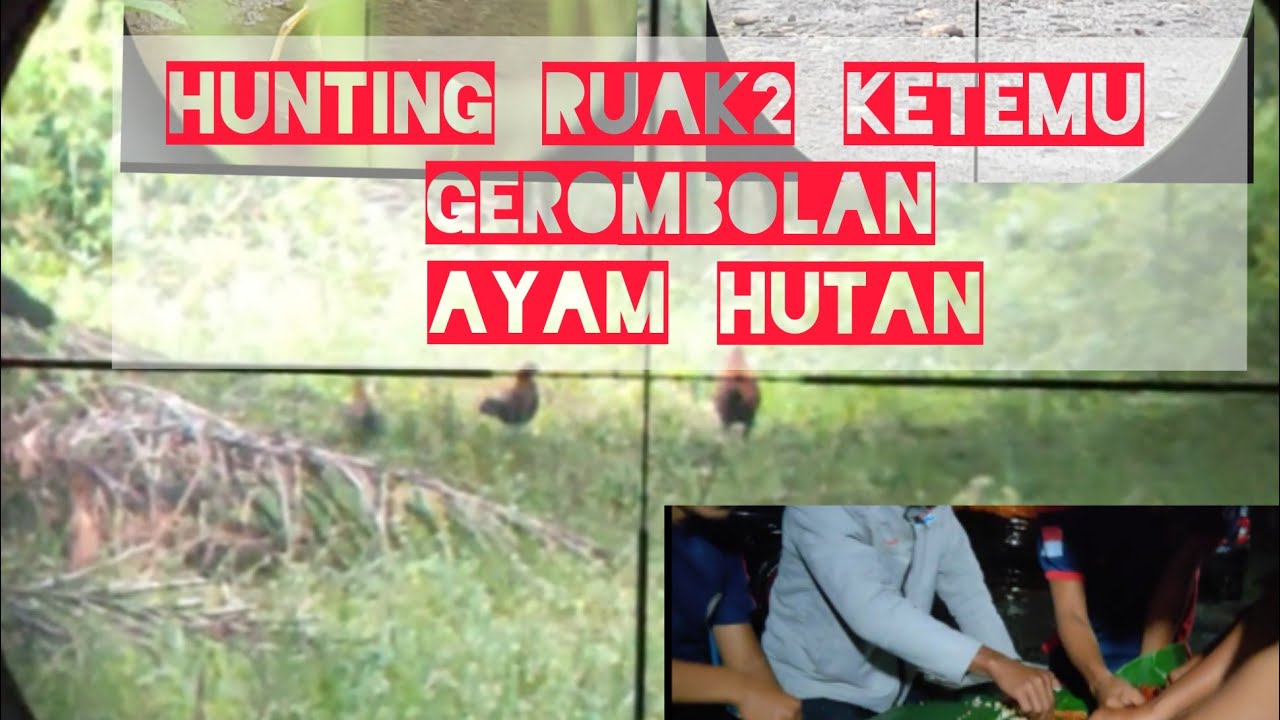 Hunting Ruak2 Bangkok part 2 