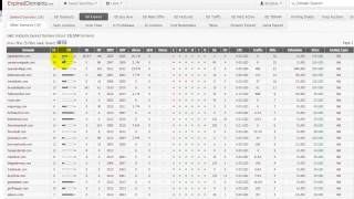 How to Find Quickly Quality Domain Names From 1,000's of Expiring Domains