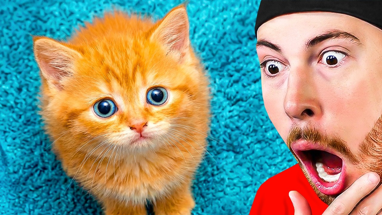 Try Not To Say AWW Challenge! *Animals Edition*